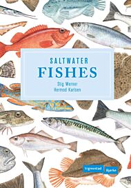 Saltwater fishes