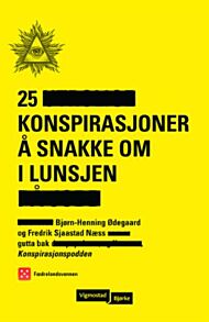 25 konspirasjoner å snakke om i lunsjen