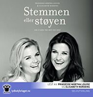 Stemmen eller støyen