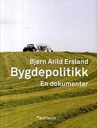 Bygdepolitikk