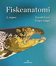 Fiskeanatomi