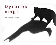 Dyrenes magi