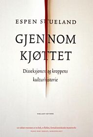 Gjennom kjøttet