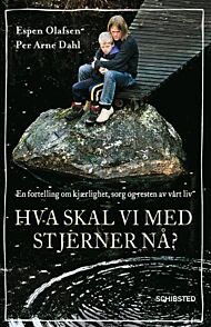 Hva skal vi med stjerner nå?