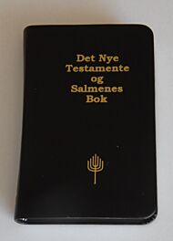 Det nye testamente og Salmenes bok