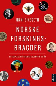 Norske forskingsbragder