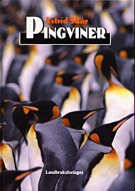 Pingviner