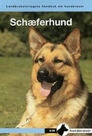 Schæferhund