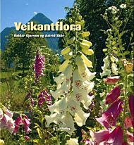 Veikantflora