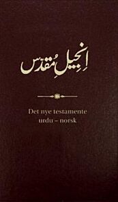 Det nye testamentet