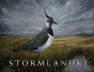 Stormlandet