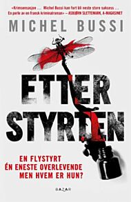 Etter styrten