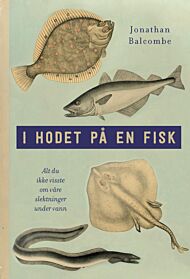 I hodet på en fisk