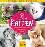 Alt om katten