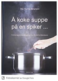 Å koke suppe på en spiker...