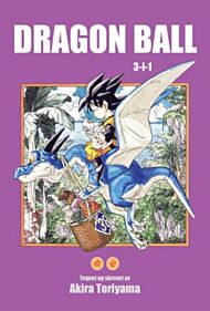 Dragon ball 13