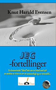 Jeg-fortellinger