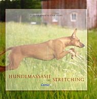 Hundemassasje og stretching