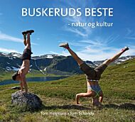 Buskeruds beste