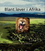 Blant løver i Afrika