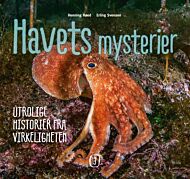 Havets mysterier 3