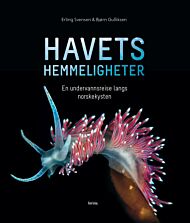 Havets hemmeligheter