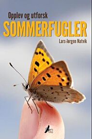 Opplev og utforsk sommerfugler