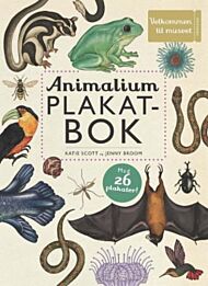 Animalium