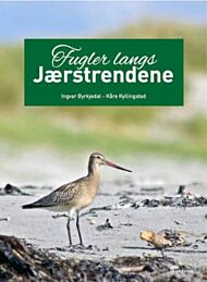 Fugler langs Jærstrendene