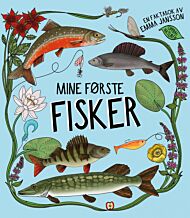 Mine første fisker