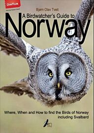 A birdwatcher's guide to Norway