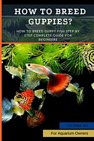 How to Breed Guppies?