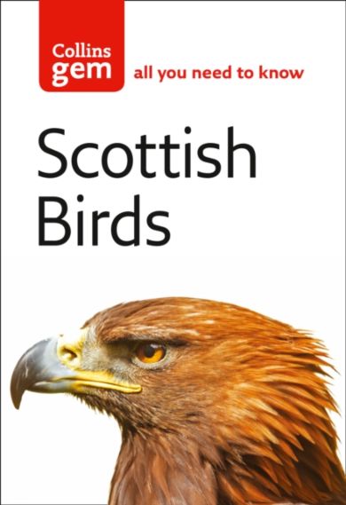 Scottish Birds