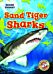 Sand Tiger Sharks