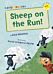 Sheep on the Run!