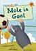 Mole in Goal