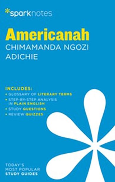 Americanah by Chimamanda Ngozi Adichie