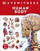 Human Body