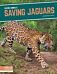 Saving Animals: Saving Jaguars