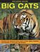 Exploring Nature: Big Cats