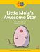 Read + Play  Strengths Bundle 2 Little Mole¿s  Awesome Star