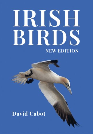 Irish Birds