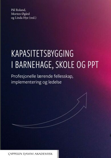 Kapasitetsbygging i barnehage, skole og PPT