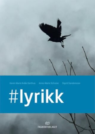 #lyrikk