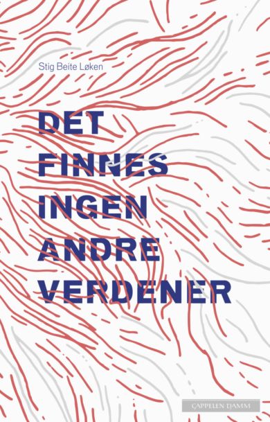 Det finnes ingen andre verdener