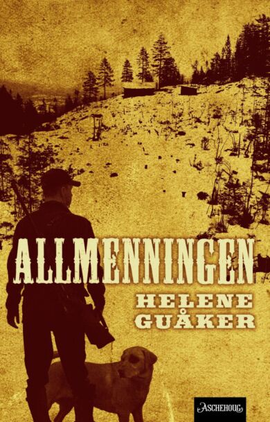 Allmenningen