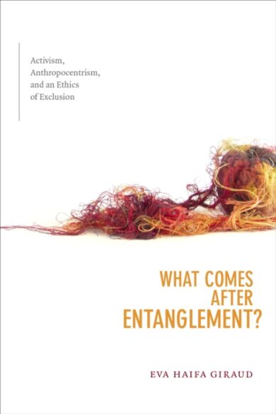 What Comes after Entanglement?