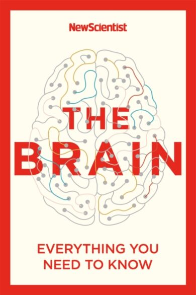 The Brain