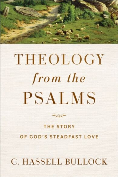 Theology from the Psalms ¿ The Story of God`s Steadfast Love