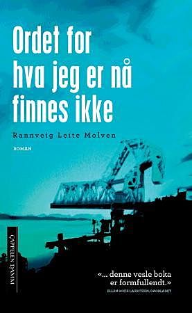 Ordet for hva jeg er nå finnes ikke